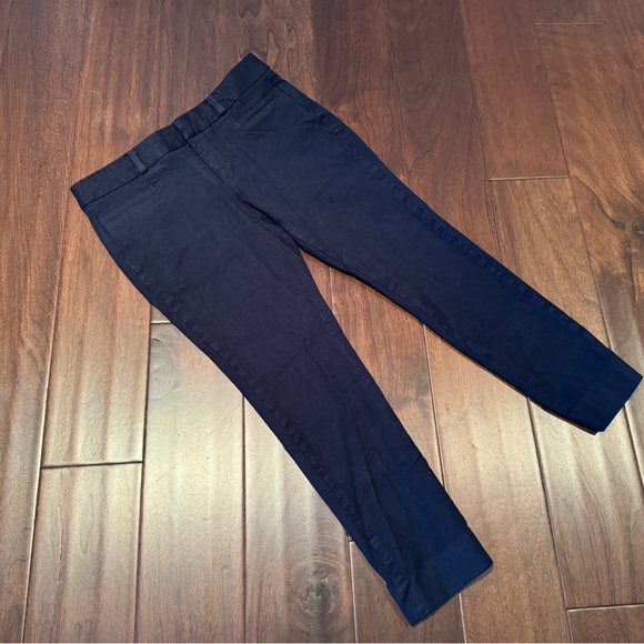 Rails Perci Animal Star Sweater & Banana Republic Sloan Pants - Picture 7 of 10